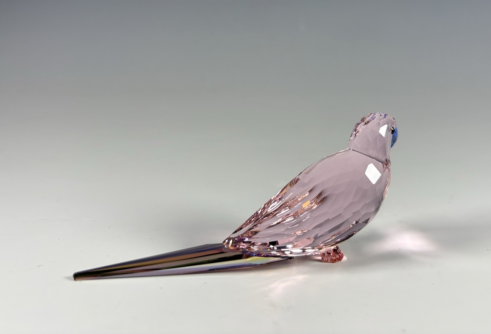 Swarovski Crystal Jungle Beats Parakeet Cha Cha Pink Bird Figurine Mint In Box