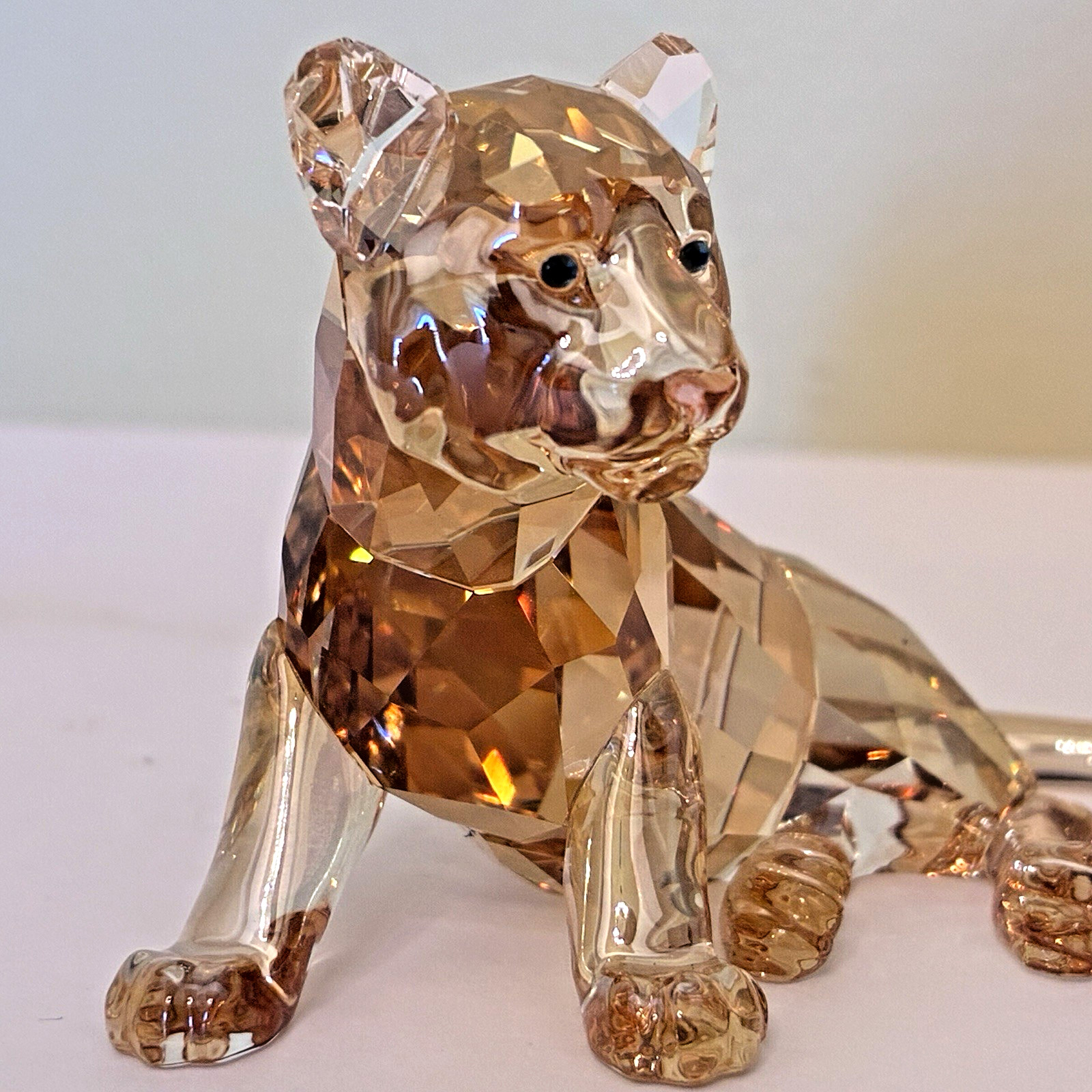 Swarovski Tiger Cub Sitting SCS 2010 Annual Limited Edition 1016678 Box COA