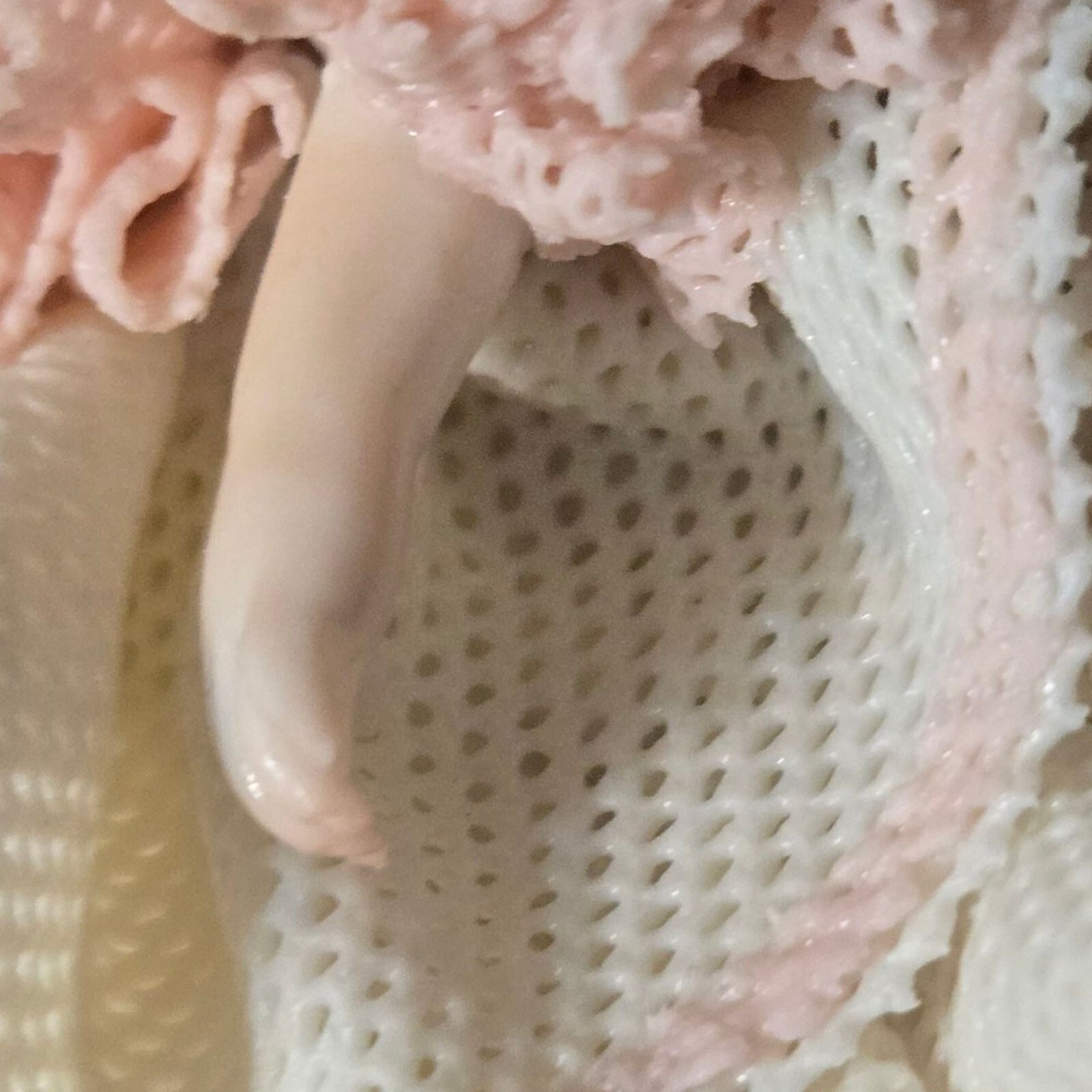 Vintage Irish Dresden Porcelain Figurine Babette Pink Lace Dress