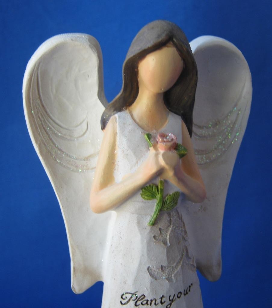 Delton Inspiration Angel Flowers PLANT YOUR DREAMS AND MIRACLES WILL GROW