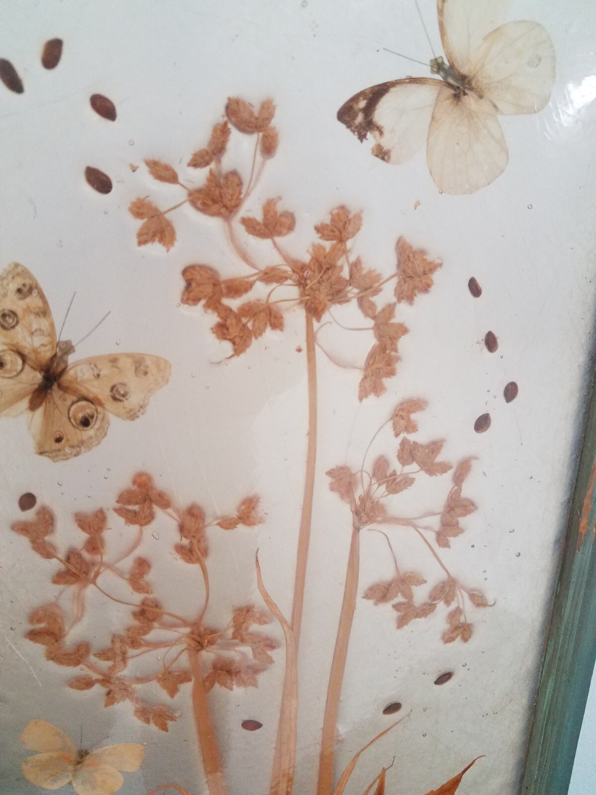 Vintage Pressed Resin Butterflies Flowers Plants Signed Table Top Triptych 3D