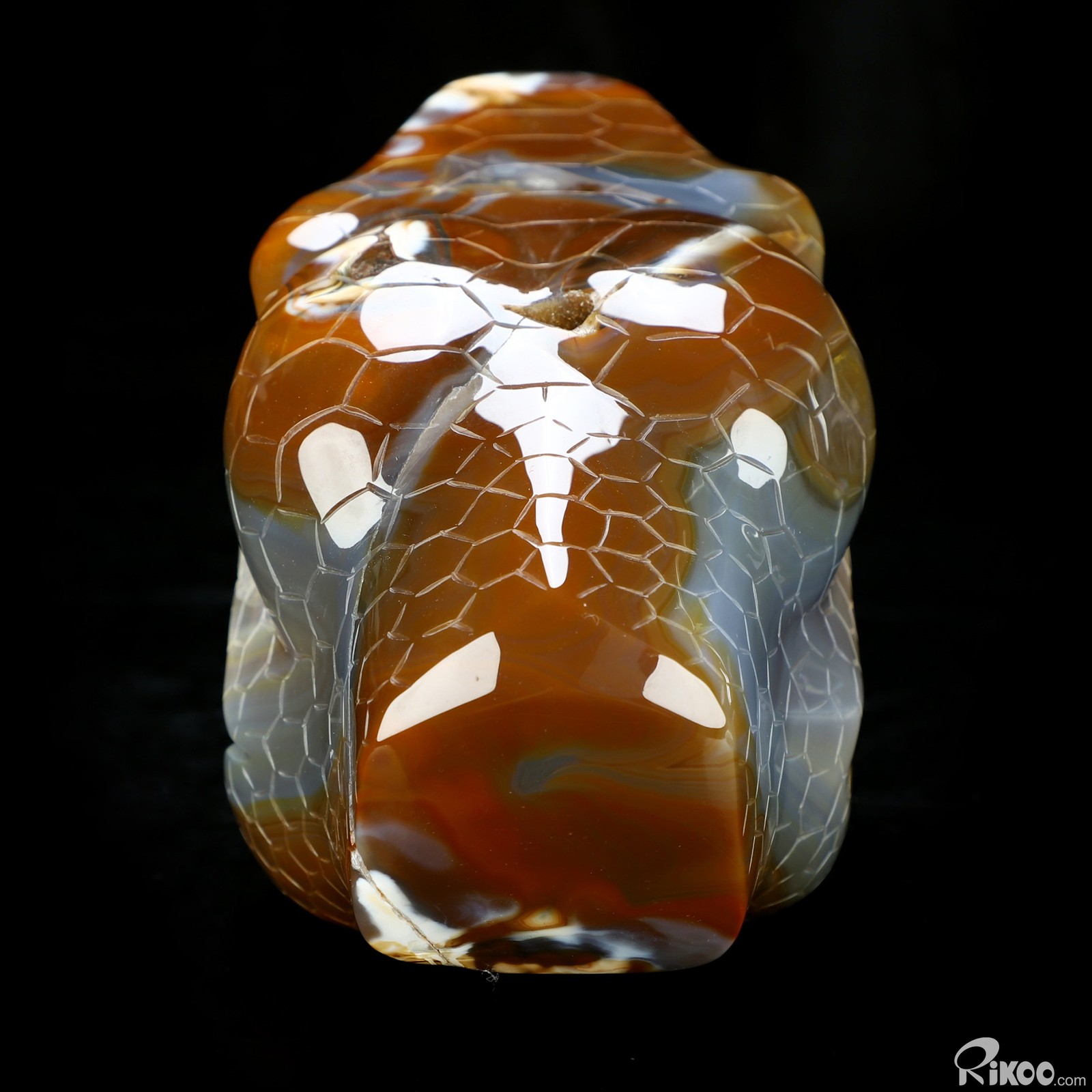 Awesome 7.5″ Premium Brazilian Agate Hand Carved Crystal Snake Sculpture