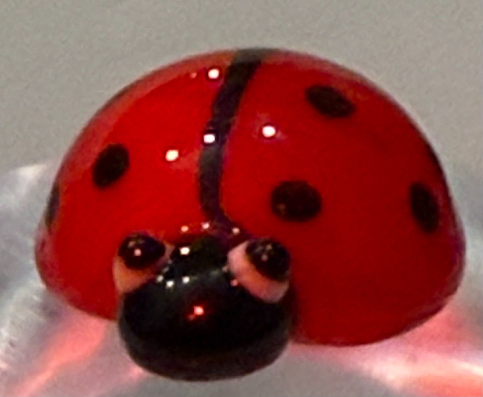 lot 2 Tiny Little Ladybug Glass Charm New Pocket Token