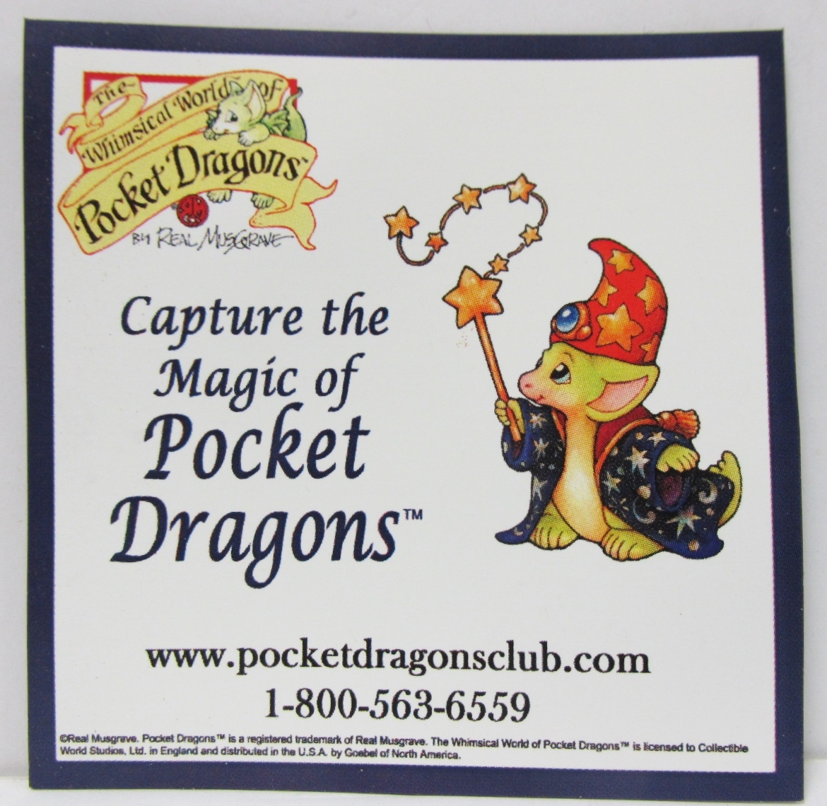 Pocket Dragon Capture the Magic Refrigerator Magnet VERY RARE Promotional Item