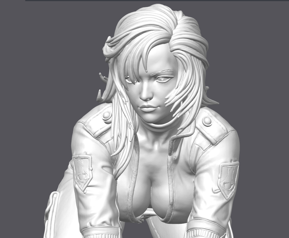 Sniper Wolf Picking Up Sniper Rifle Fan Art Tribute 3D Printed HOTT Paintable!!!