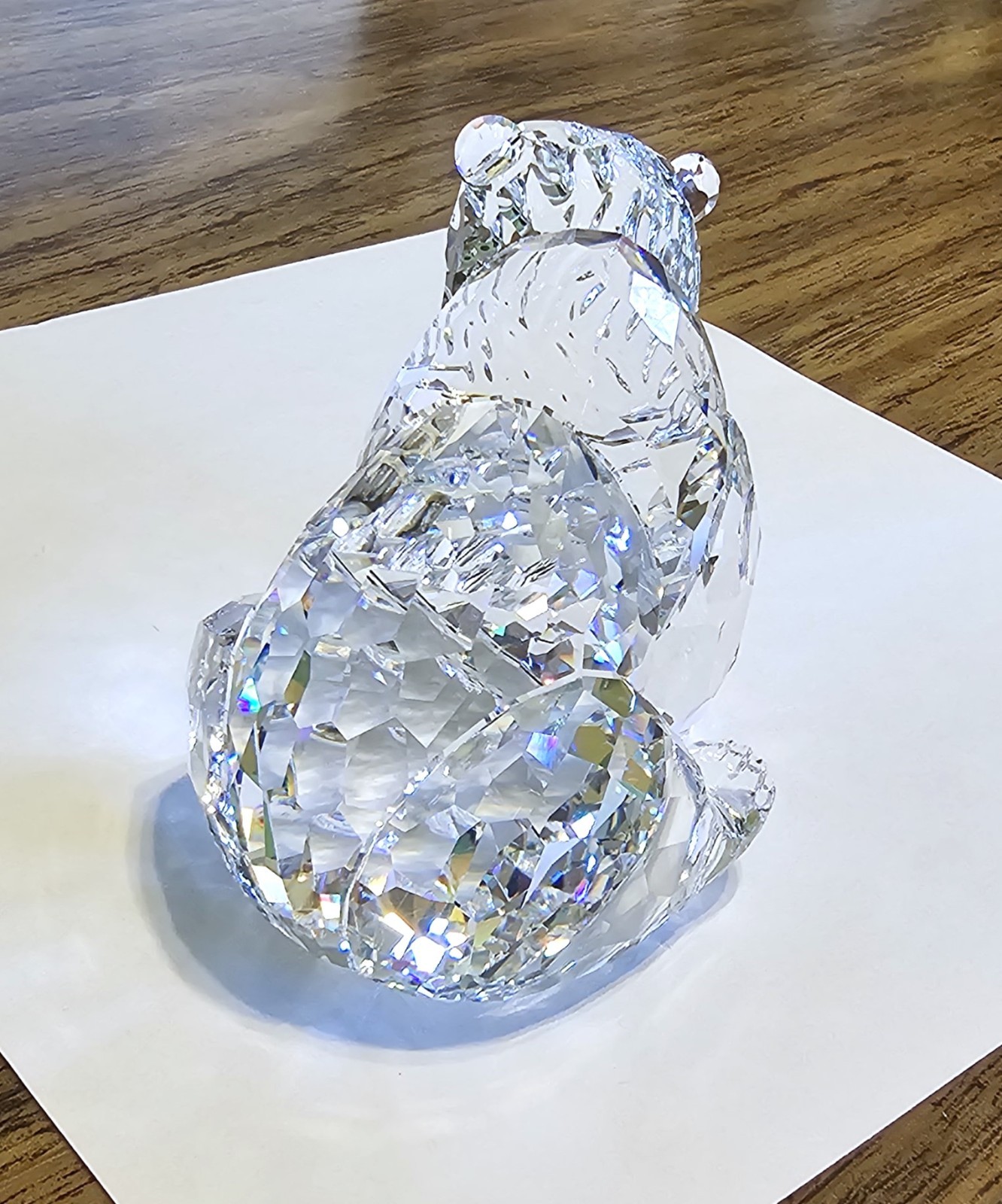 🐻 Swarovski Crystal “Rare Encounters”, LARGE, Adult Grizzly Bear Figurine, Box