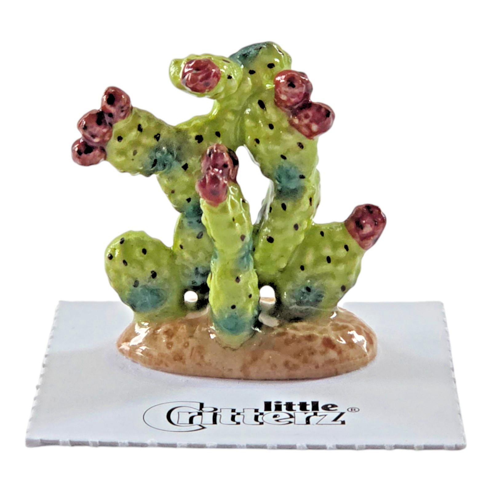 LITTLE CRITTERZ Prickly Pear Cactus Miniature Figurine New FREE SHIPPING LC715