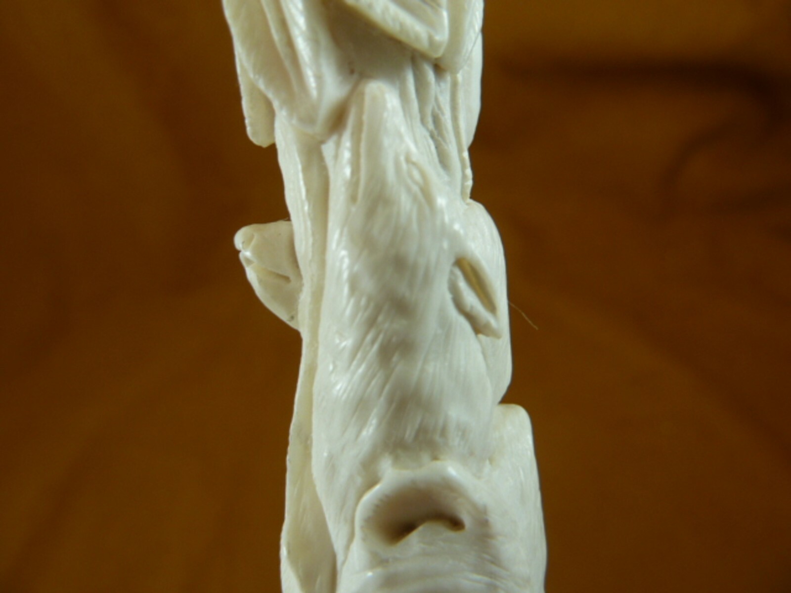 (Native-1) Native American face wolf shed moose antler figurine detailed carving