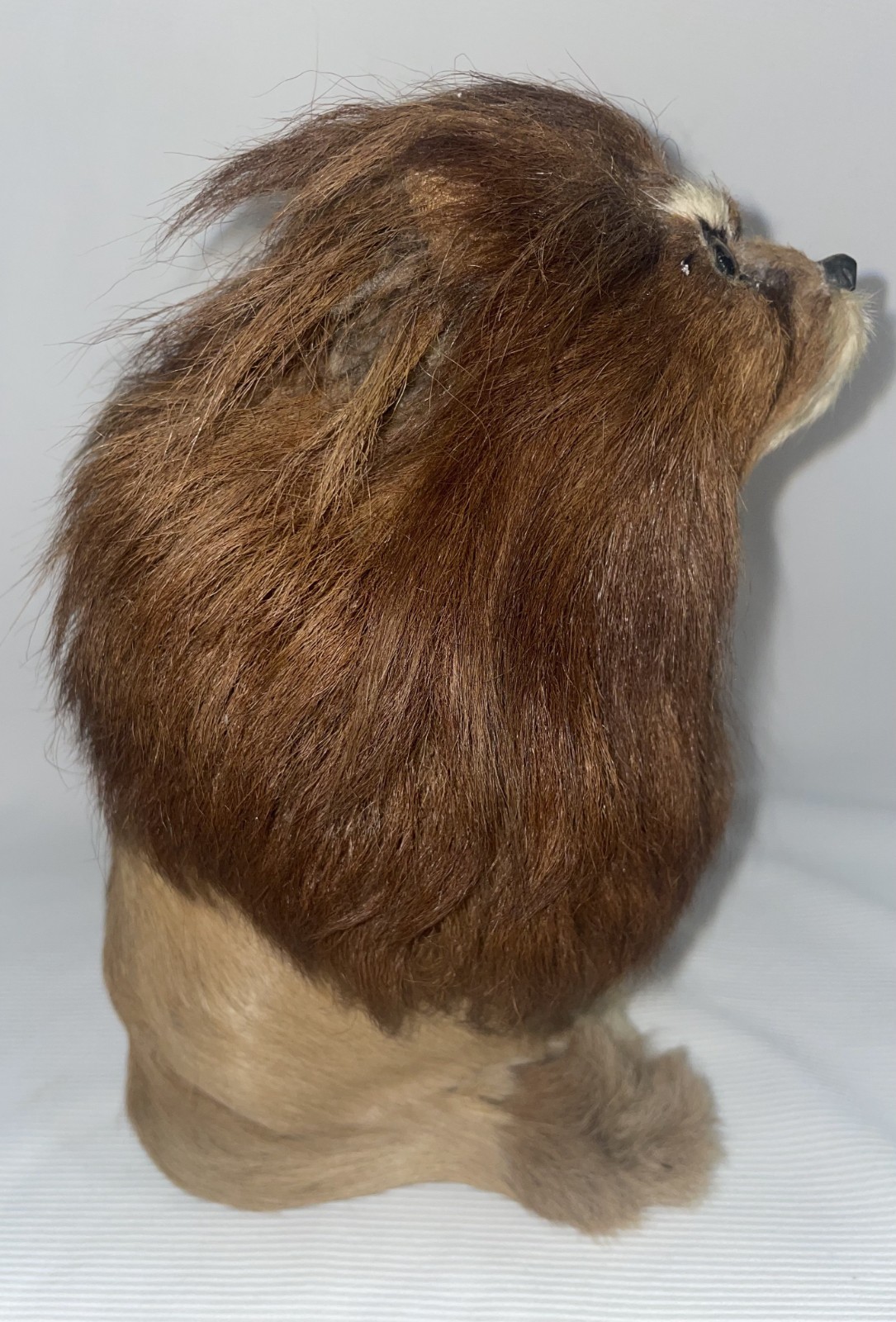 Fur Covered Lion 9 1/2 Inches High Glass Eyes
