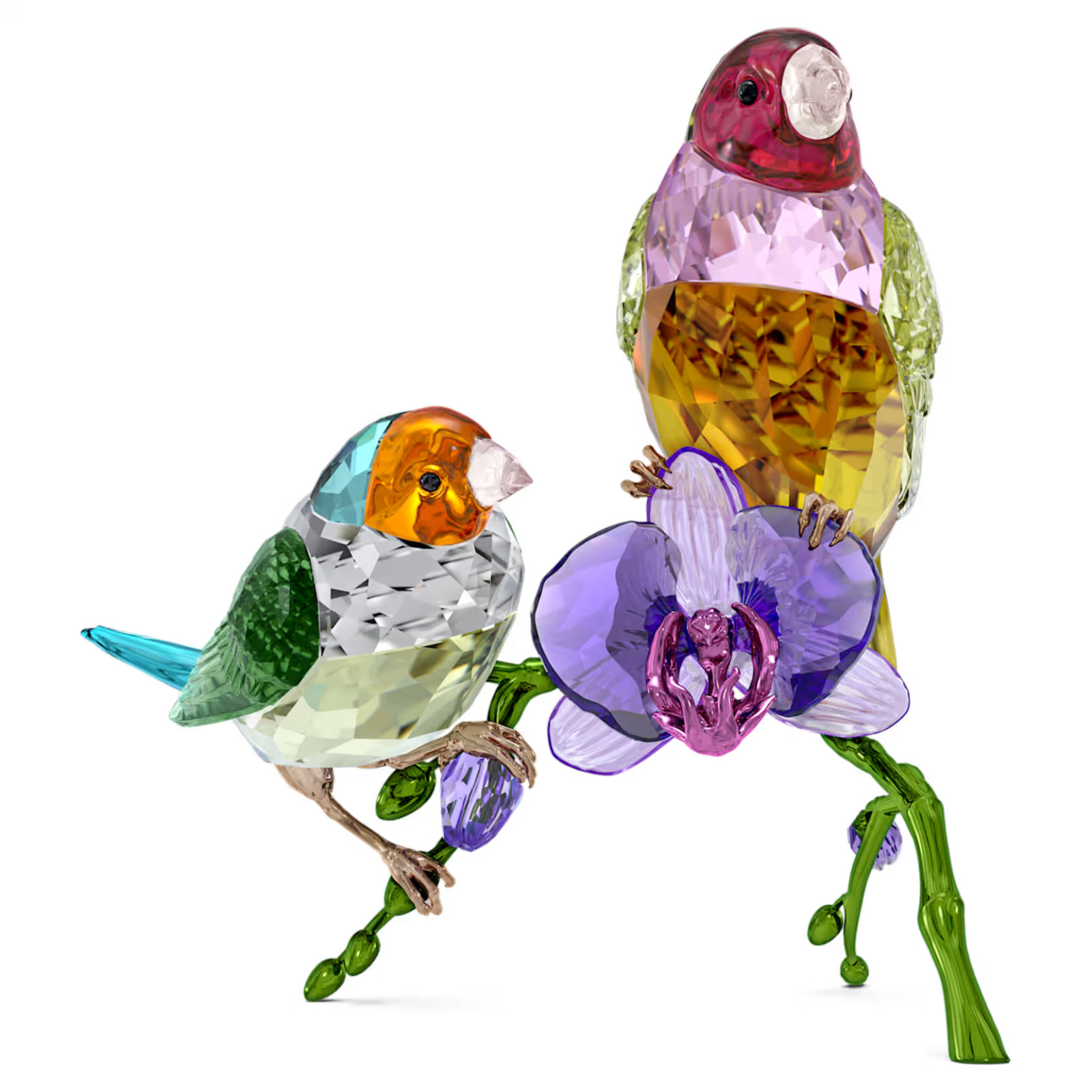 Swarovski 2024 Idyllia Gouldian Finches 5670031 Brand new in box.