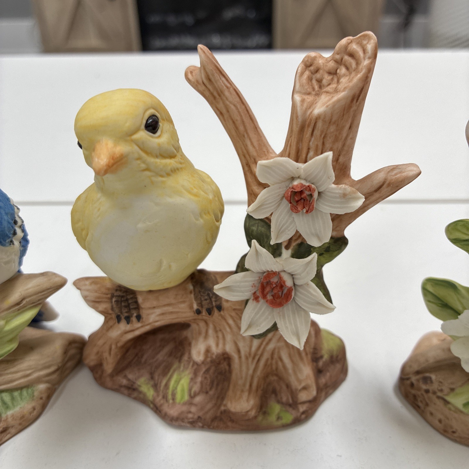Bird Figurine Set of 4 | Songbirds on Flowers | Spring Gift Decor 4” Porcelain