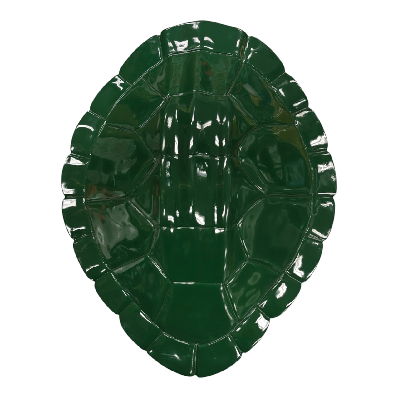 Nate Berkus Tortoise Shell Wall Art Sculpture Green 19 Inch Decor