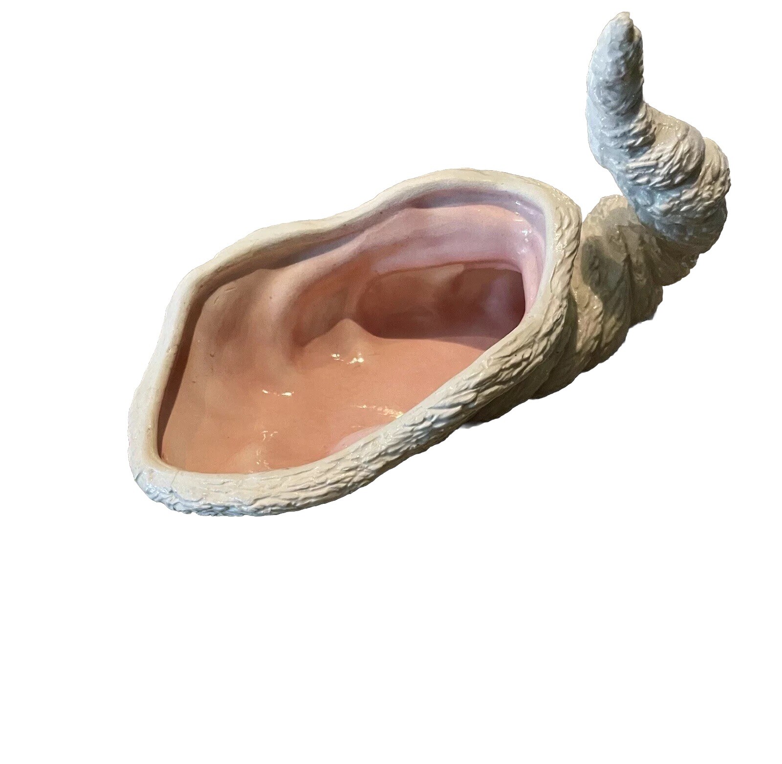 1979 NOWELL’S White Conch SEASHELL With Pink Gloss Interior – RARE BEAUTY!