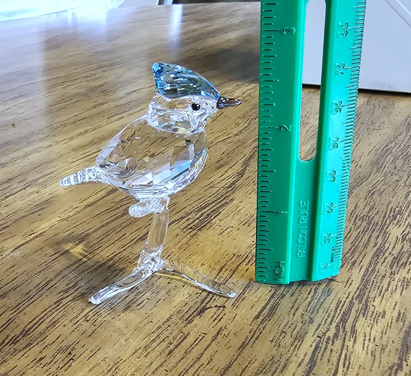 🐦 Swarovski Crystal 2019 Feathered Beauties, Large, Blue Jay Bird Figurine, NIB