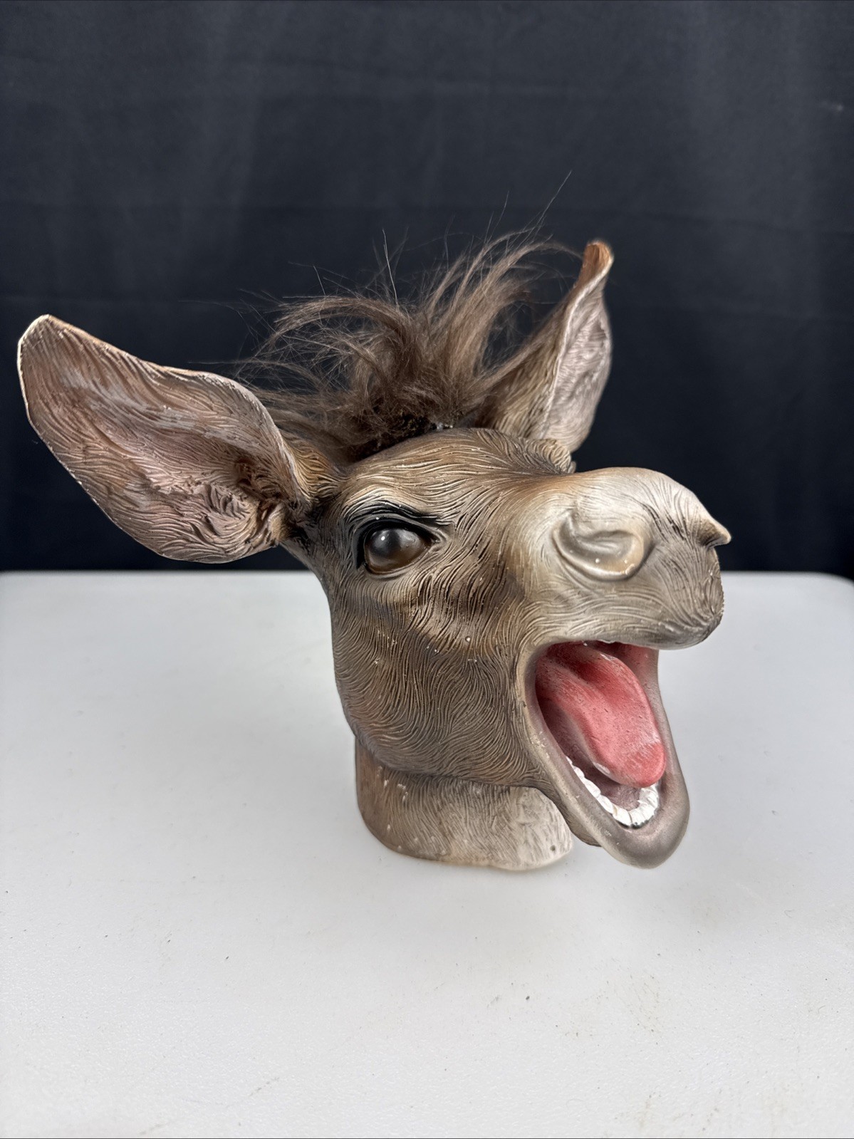 7″ Polyresin Laughing Donkey Mule Ass Head bust Paperweight