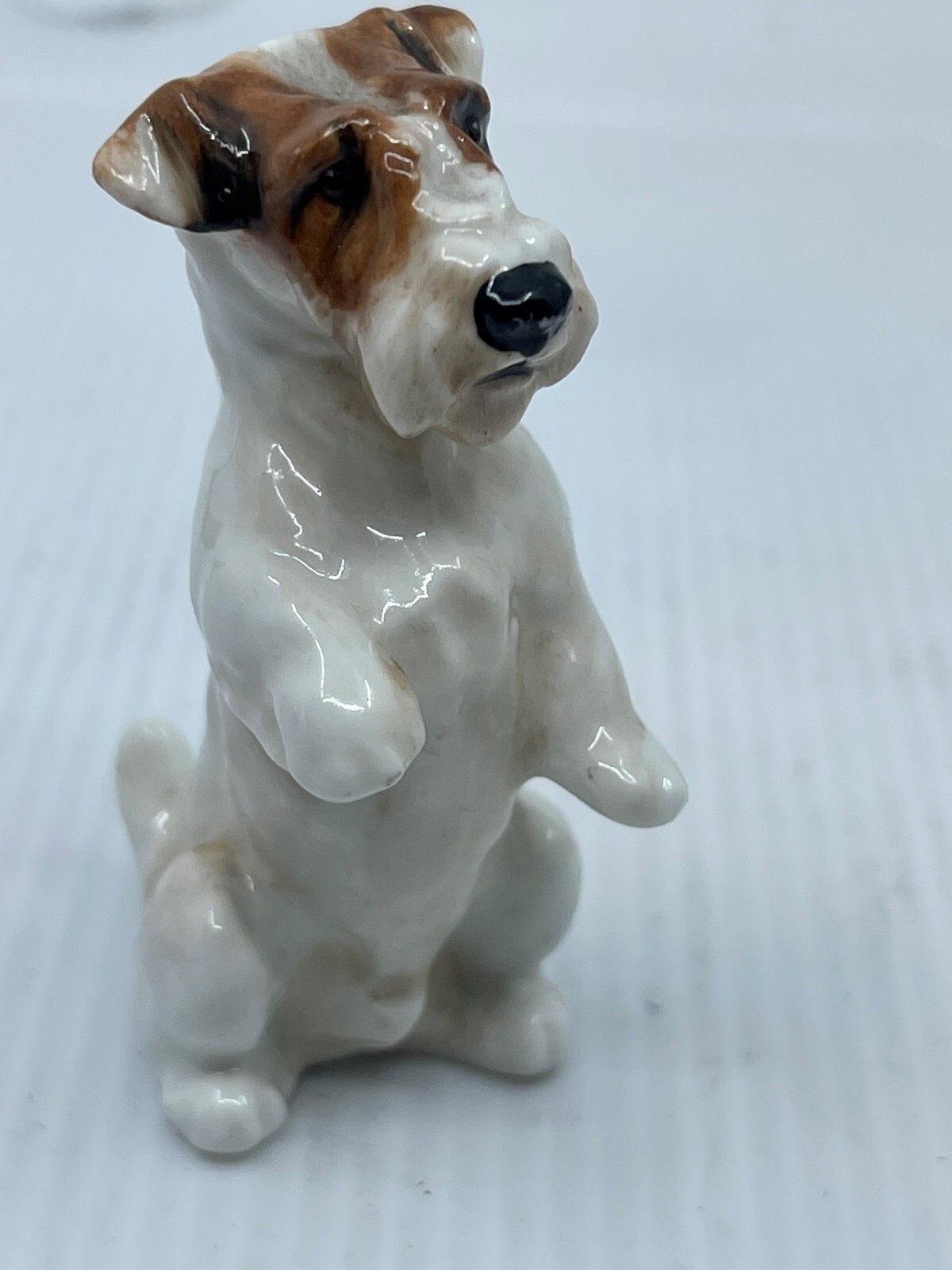 ROYAL DOULTON Begging Sealyham Terrier Antique Backstamp Very Good Condition