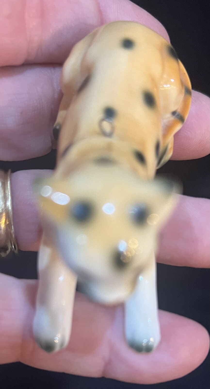 Vintage Bone China From Taiwan Cheetah Ornament. Great Condition.