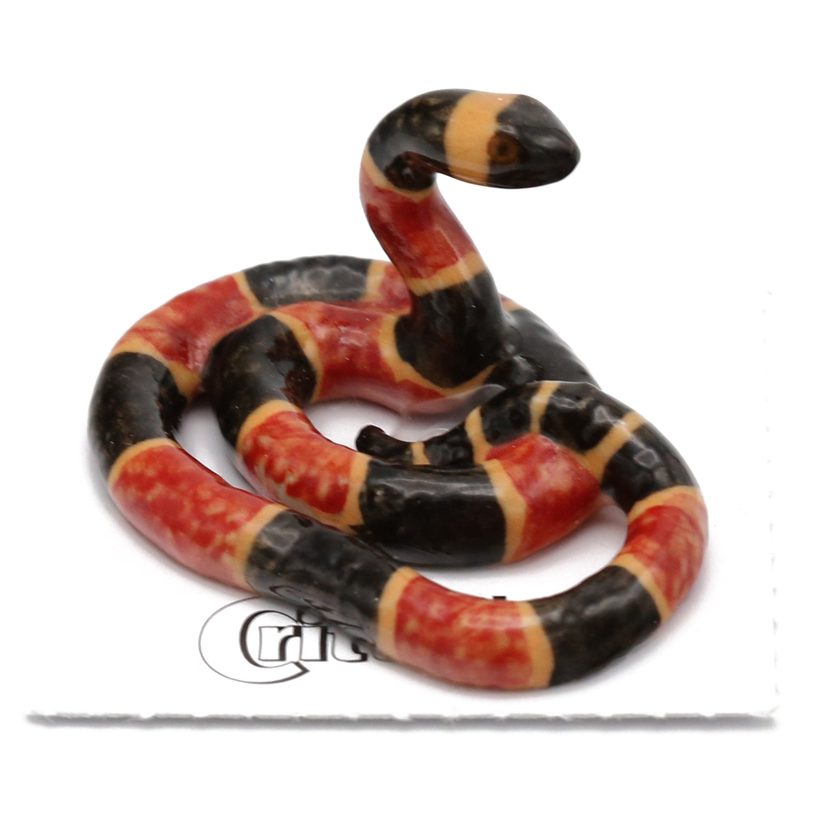 Little Critterz – Coral Snake “Rhyme” Reptile – Miniature Porcelain Figurine