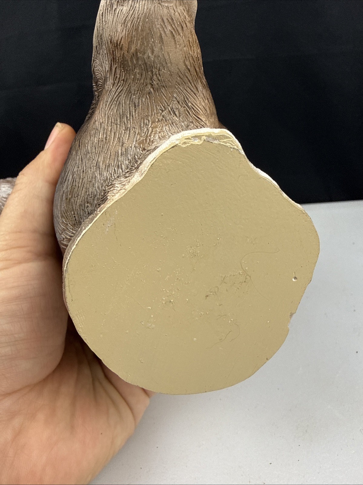 7″ Polyresin Laughing Donkey Mule Ass Head bust Paperweight