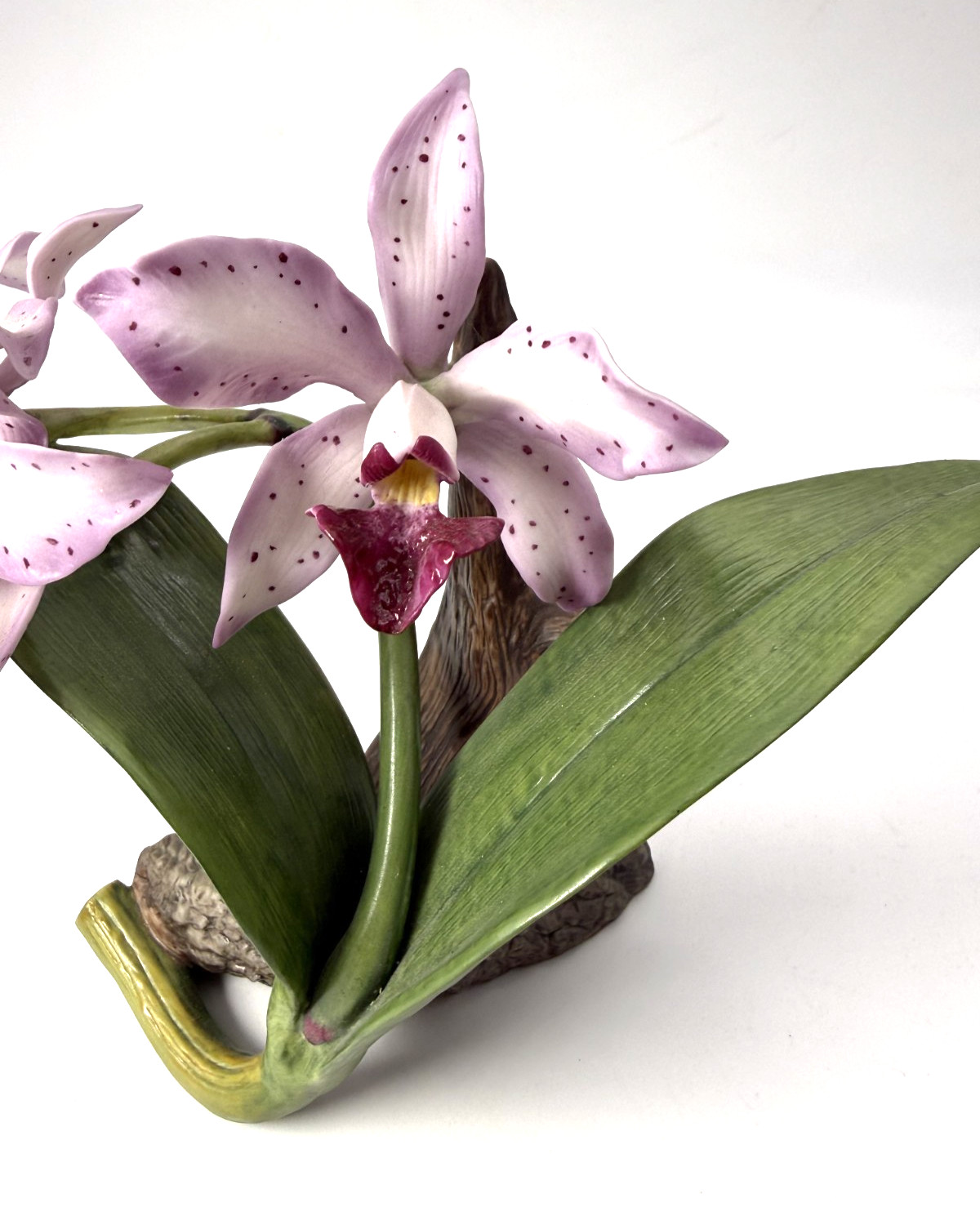 Exquisite The Glossy Amythyst Blooming by Ronald Van Ruyckevelt Porcelain Statue