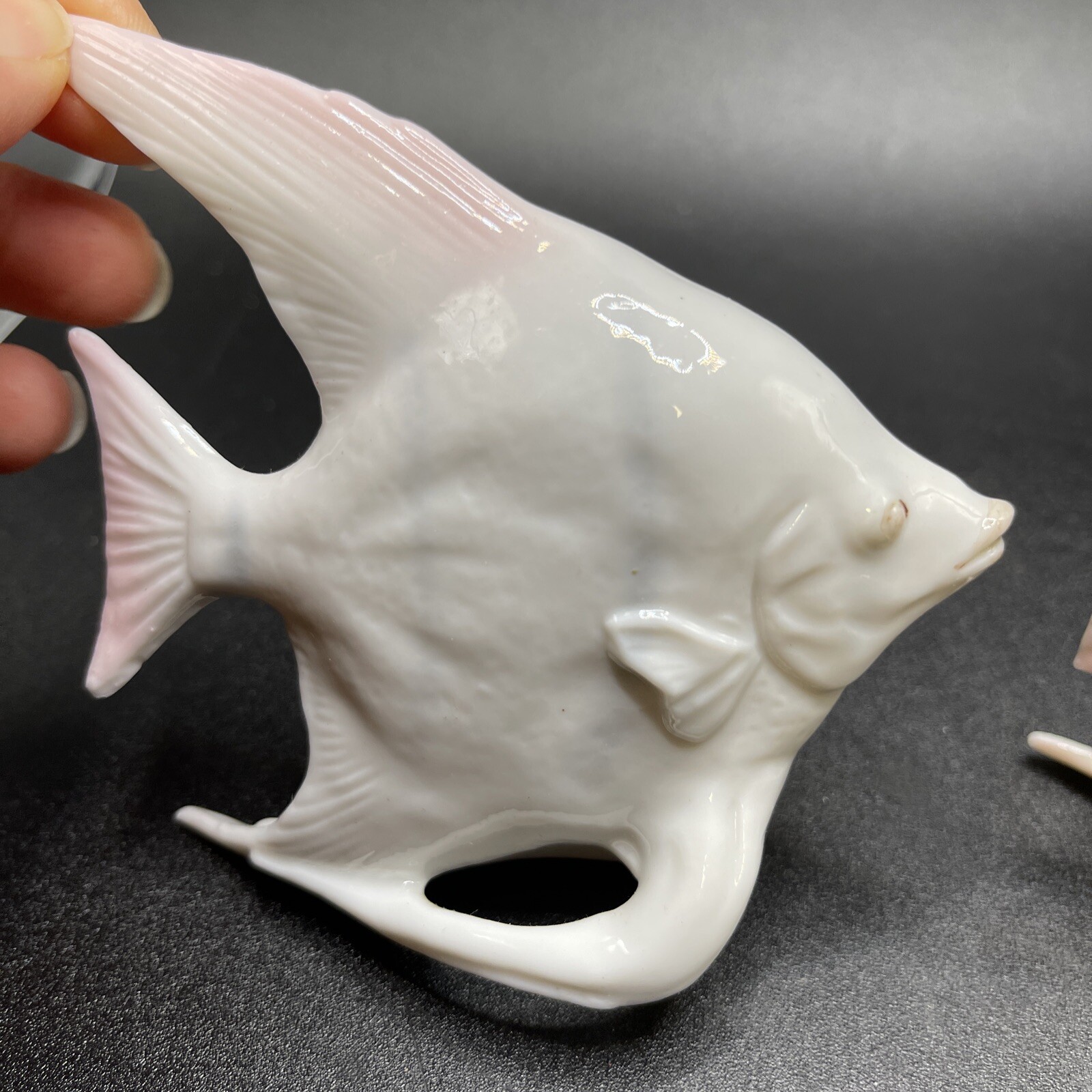 Bone China Angel Fish