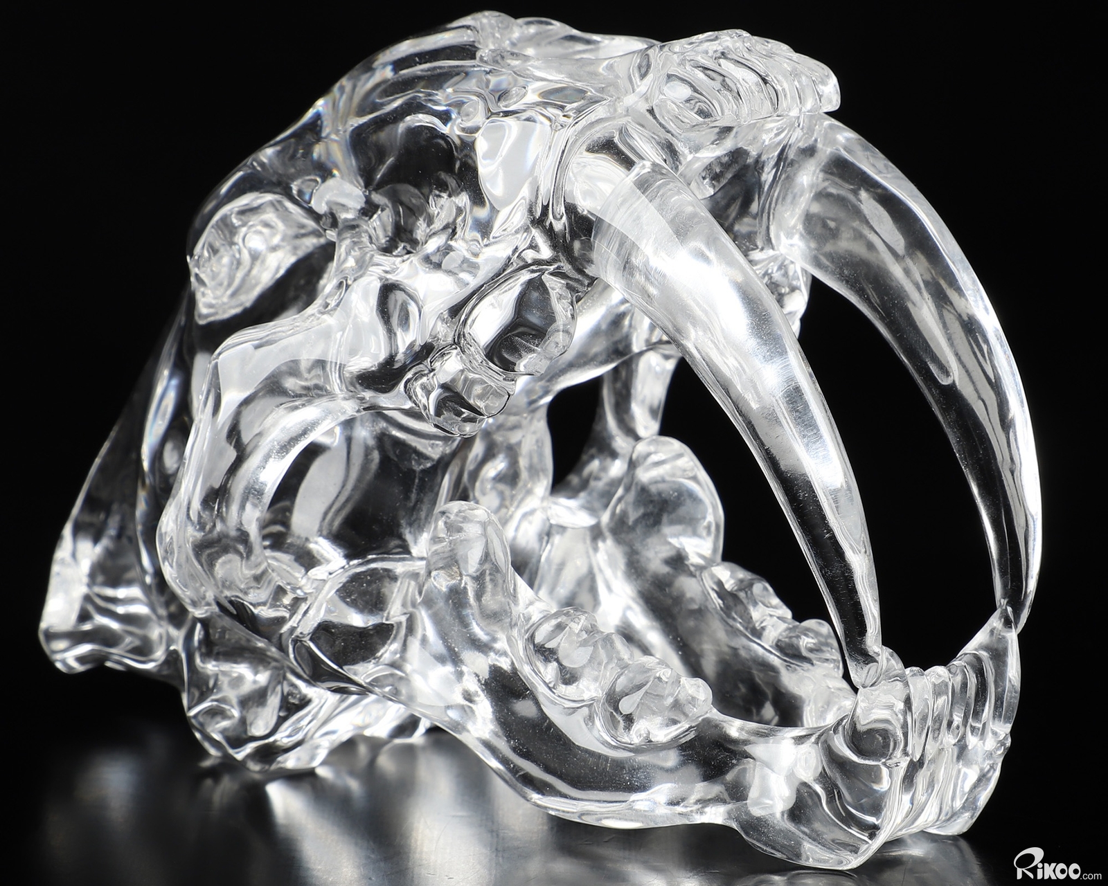 6.0″ K9 Crystal Carved SphereSmilodon SABER-TOOTHED Tiger/Cat Skull, Realistic