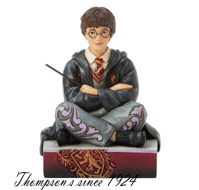 Enesco Harry Potter with Wand Jim Shore Heartwood Creek 6016699 NIB