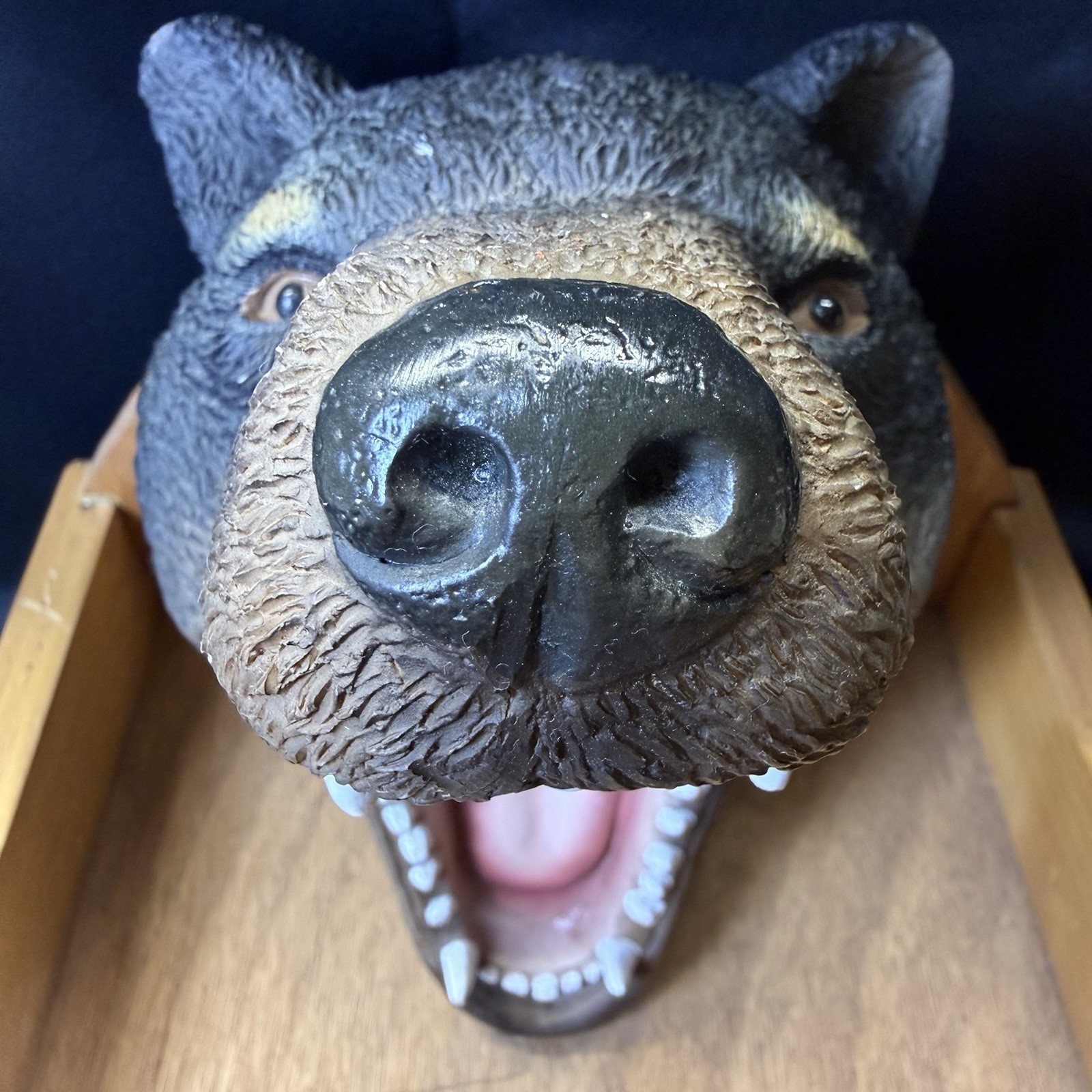 Bear Head Jewelry Display Rustic Cabin MN Store Prop Wood Base 12in Heavy OOAK