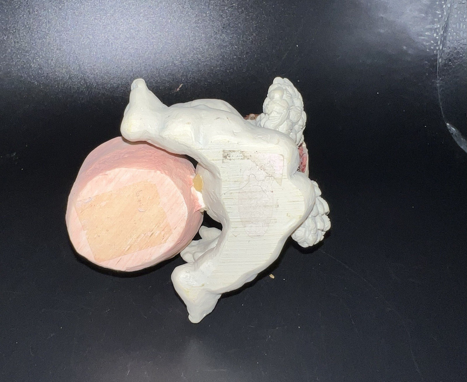 Dreamsicles Cherub Angel Water Globe