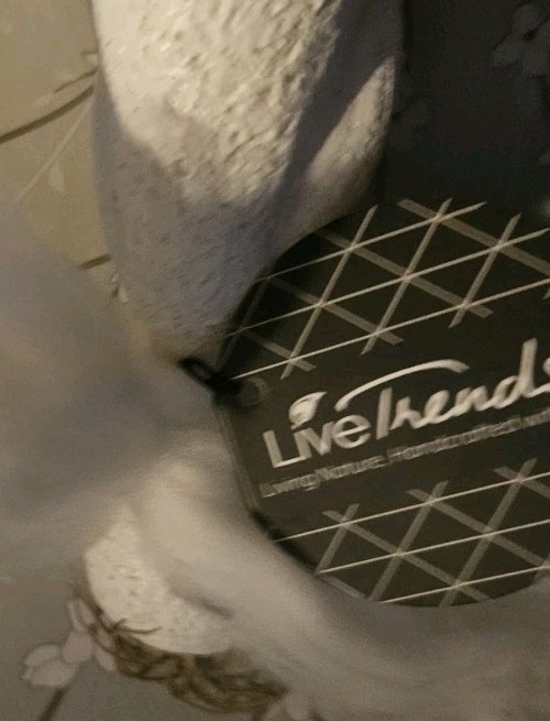 Livetrends Cozy Thinkers Figurine