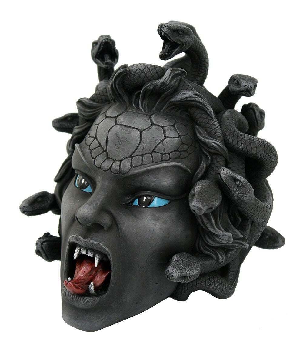 Medusa Head – Free Shipping