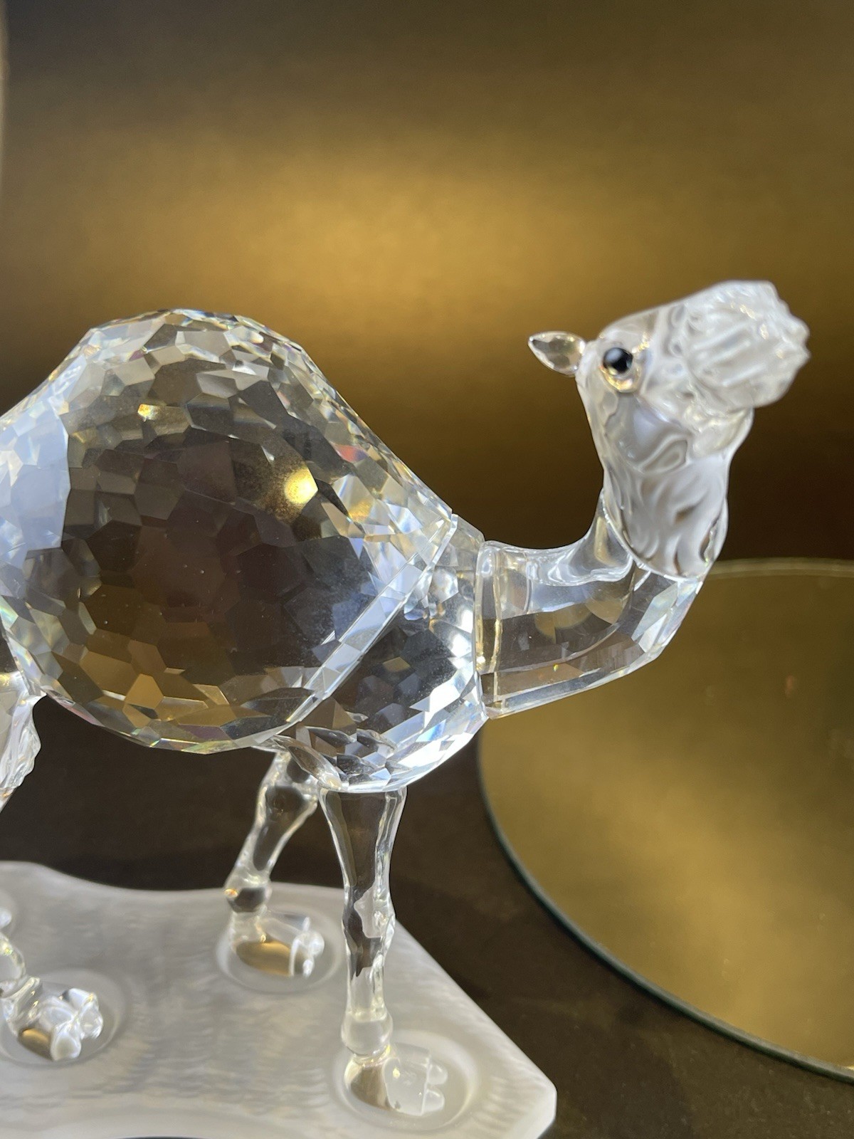 swarovski,stately camel and palm tree,boxes, certifs,mint