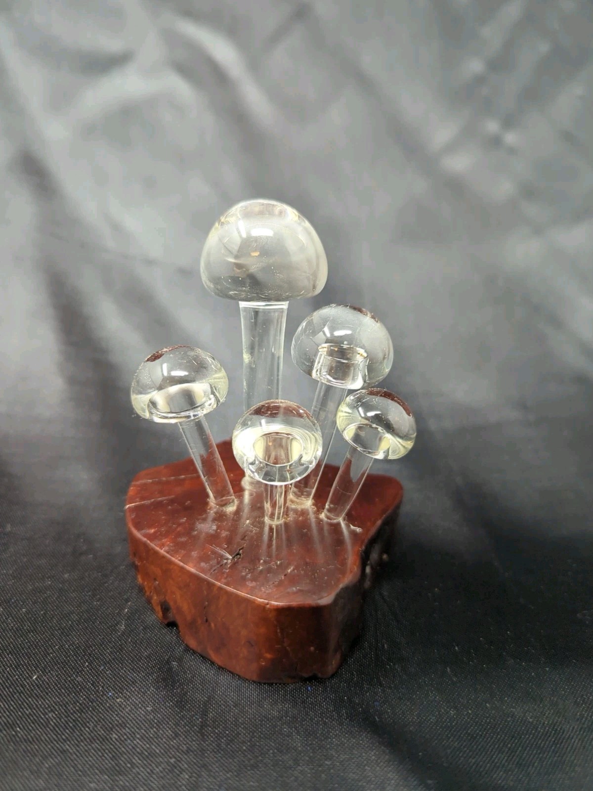 Clear Glass Mushroom Figurine + Wood Burl Figure Mushrooms Fungi Fungus New
