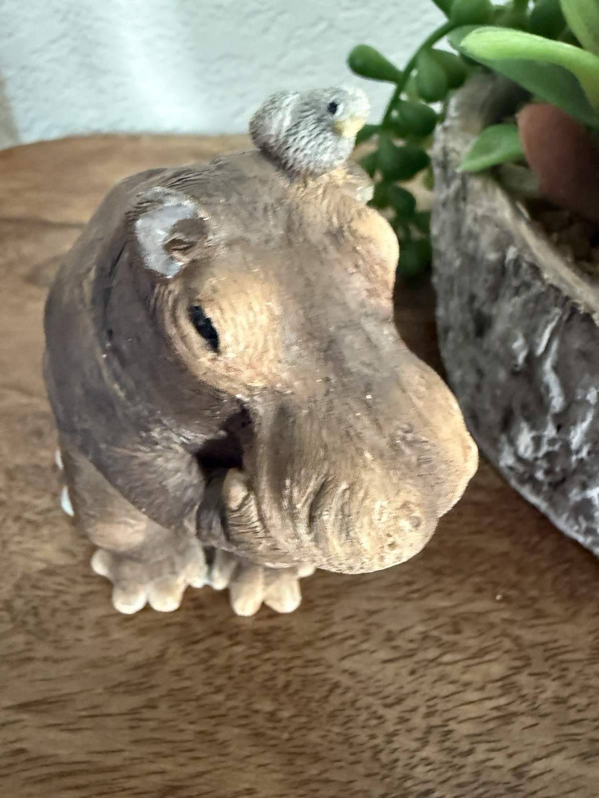 Stone Critters Hippo Figurine “HippoCRATES” Book Lover Desk Decor