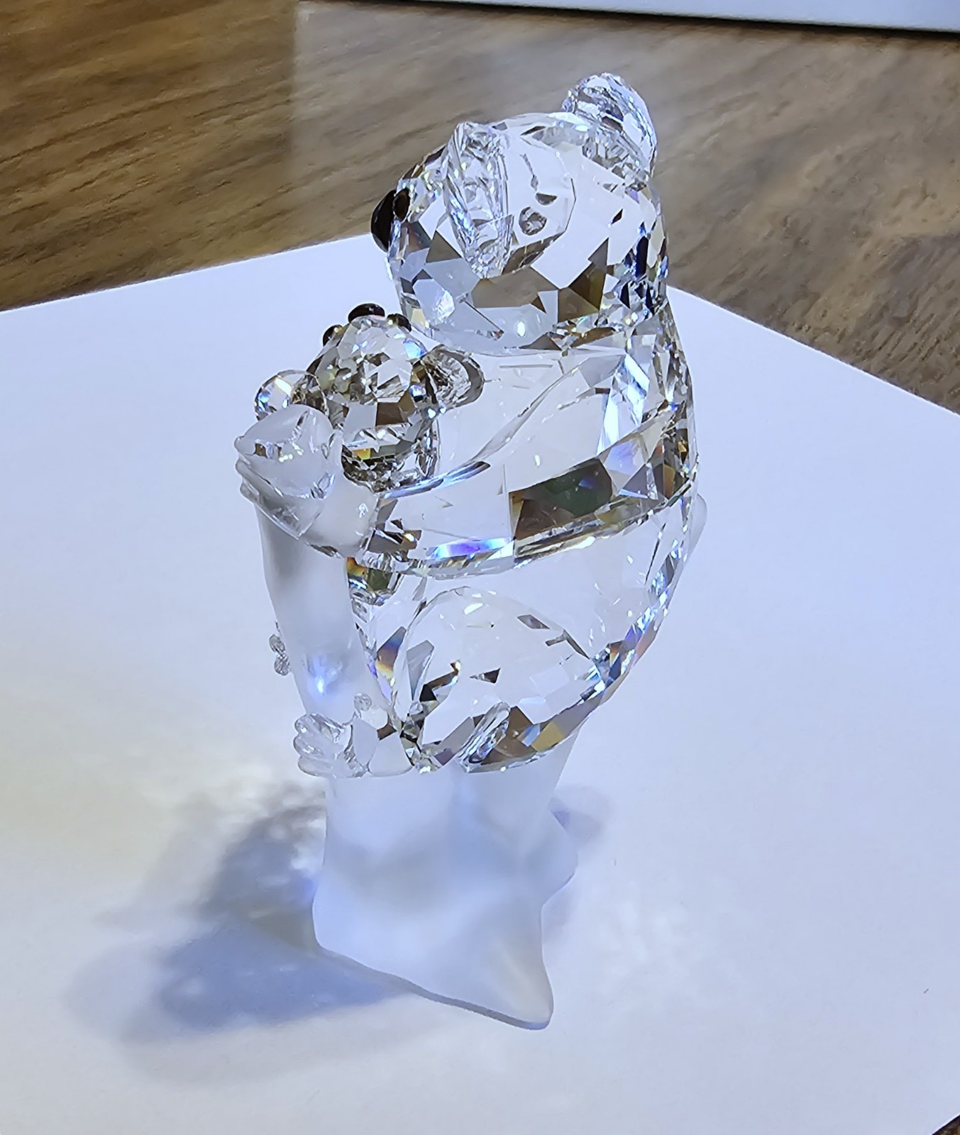 🐨 Swarovski Crystal 2009 Rare Encounters Koala Mother Baby in Tree Figurine NIB