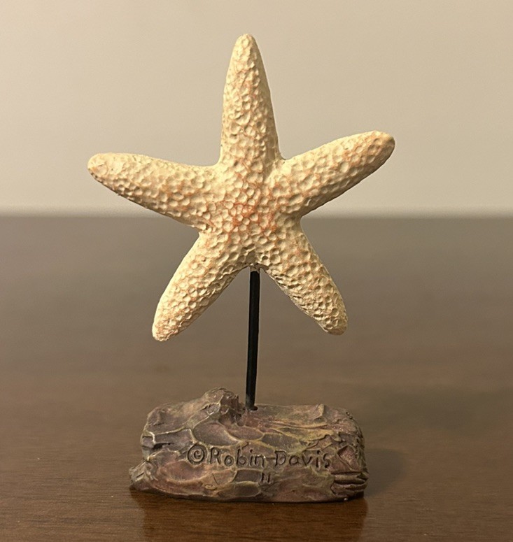 VHTF Blossom Bucket Seashell Starfish Resin Driftwood Figurine Robin Davis