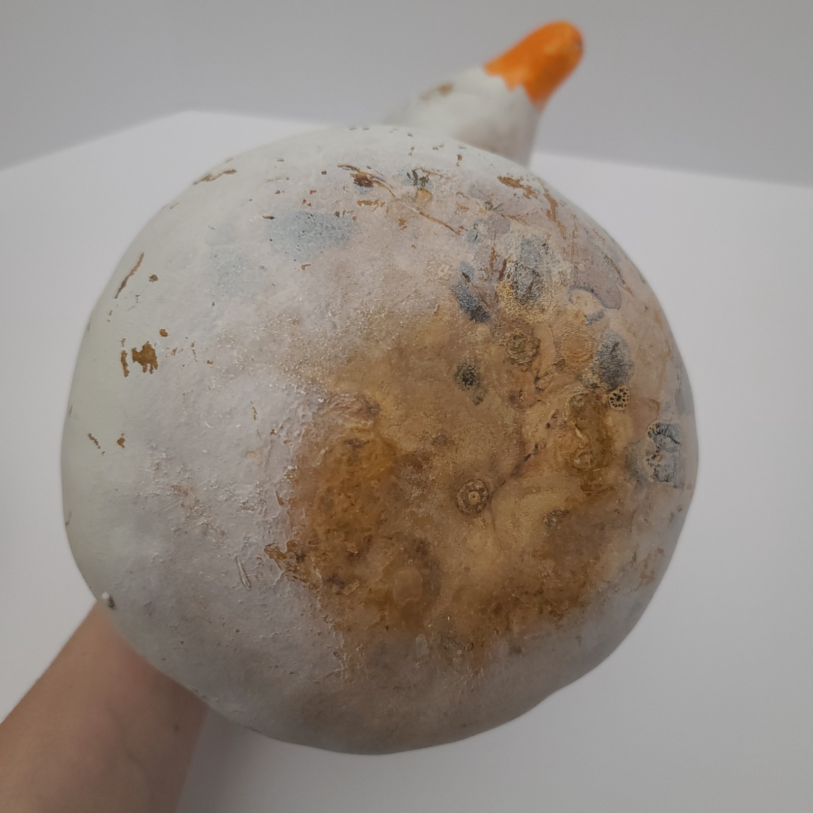 Vintage Hand-Painted Goose Gourd Figurine 13″