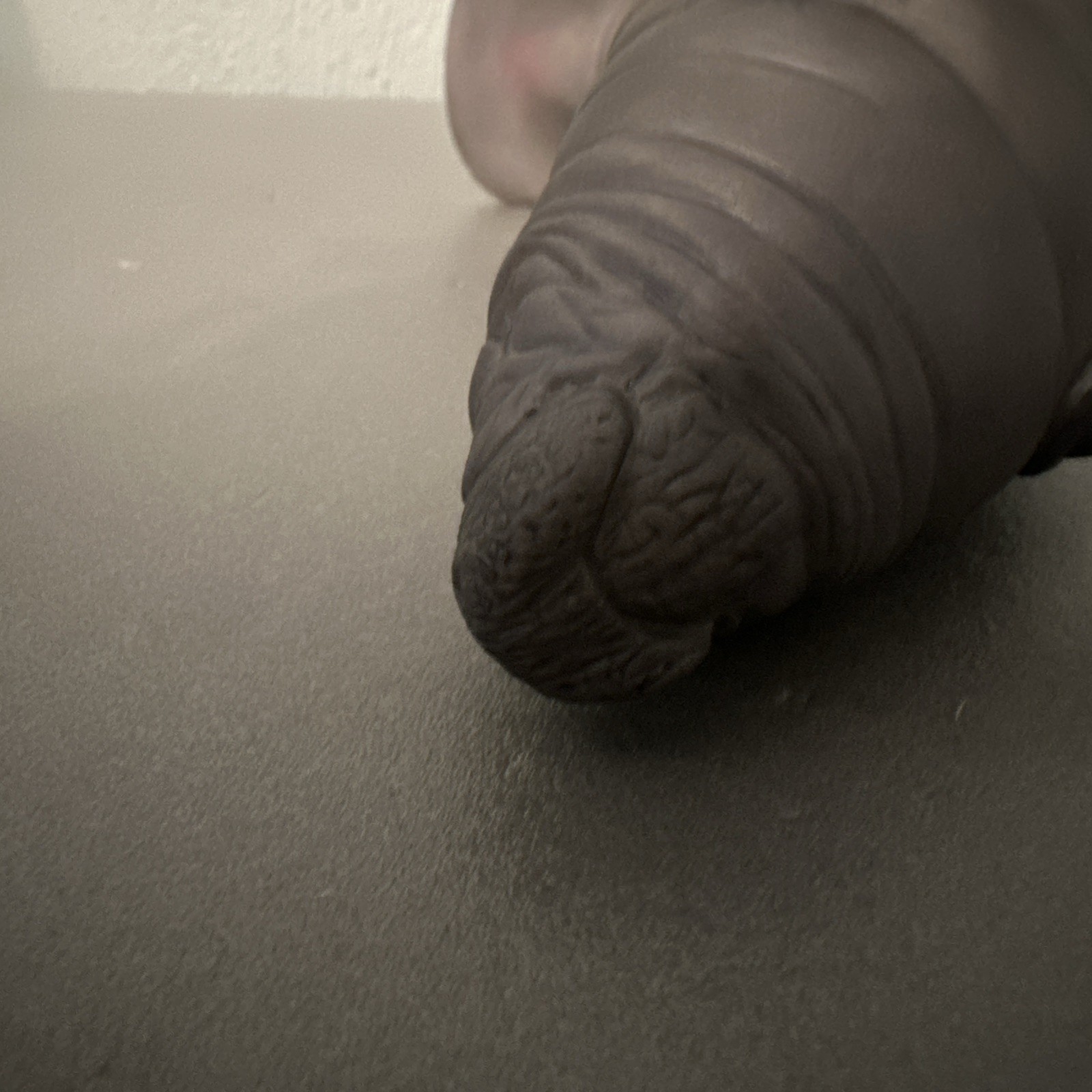 Vintage Lenox Manatee Baby Endangered Animal Series Smithsonian Institution 1995