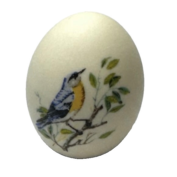 Hand Painted Beige Porcelain Egg Bird on Limb Blue Yellow Green Small Home Decor
