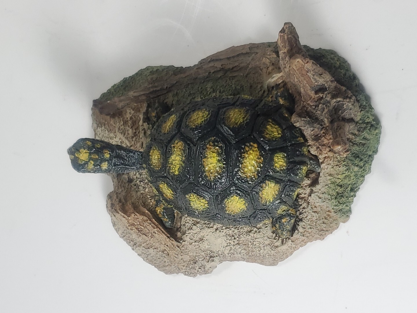Second Nature Design RedFooted Tortoise Resin Wood Wildlife Collection Realistic