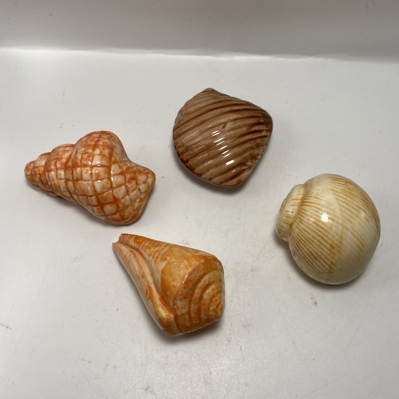 Sea Shells Ceramic Glazed Beach Decor Nautical Cottage Core Bathroom