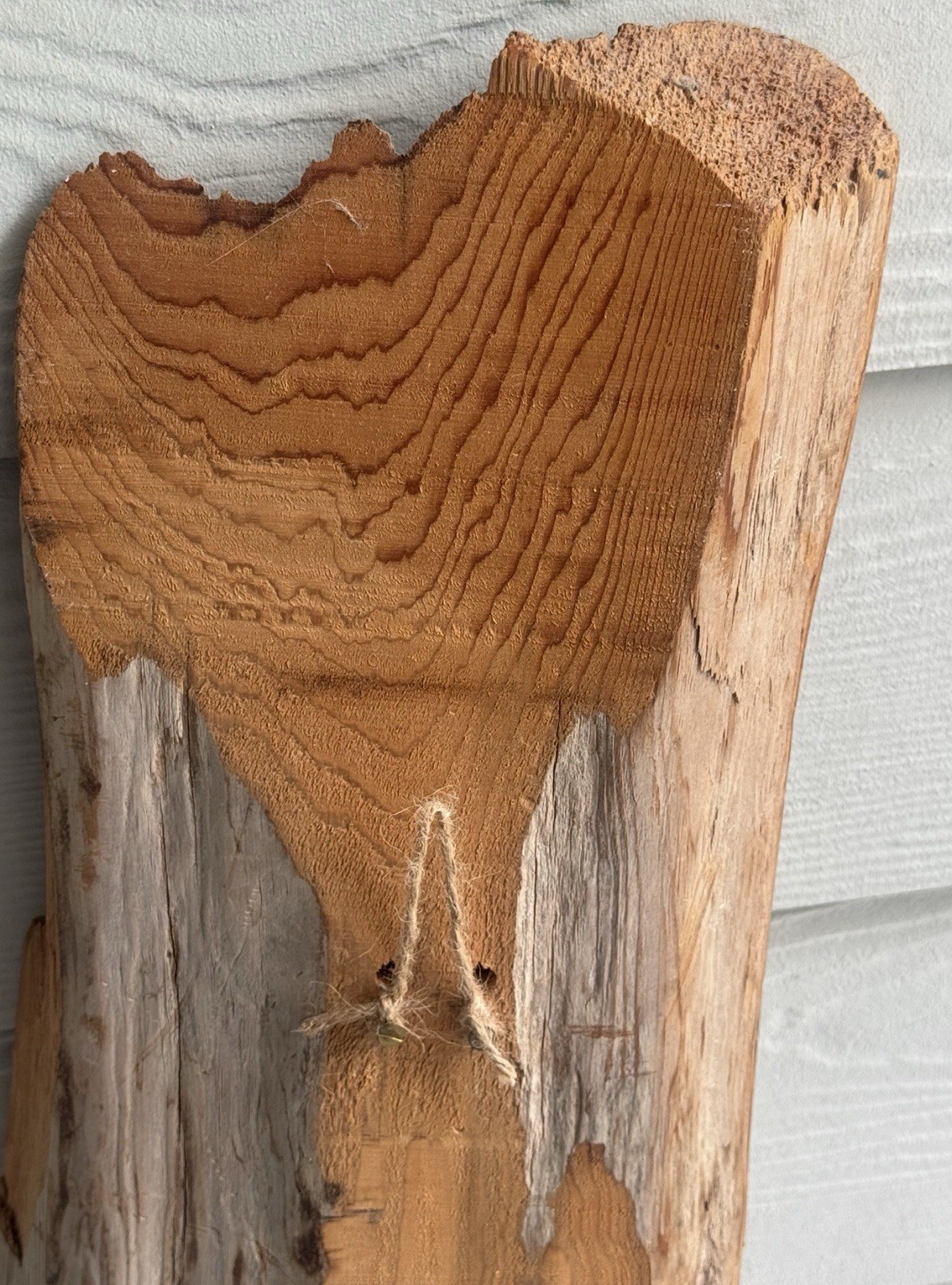 Wood Spirit Carving 1986 Driftwood Folk Art Wizard Signed by Jack Leslin 55”