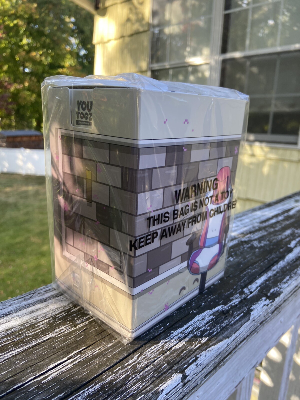 Ranboo YOUTOOZ Vinyl Figure #187 Ltd. (Unopened And Still In Wrapping!)