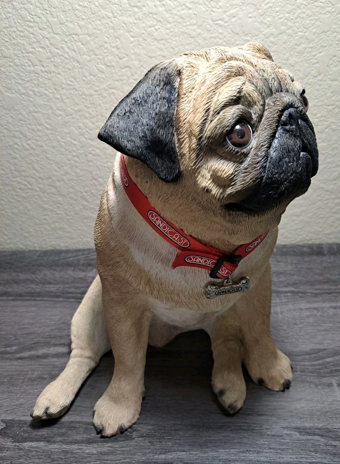 RARE Sandicast PUG Dog Life Size Adult Seated W/Collar Indoor Statue Figurine