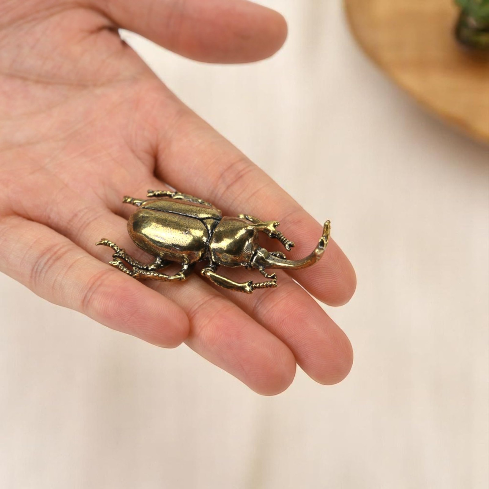 3PCS/Set Insect Bug Wall Decor, Solid Brass Beetle Figurine Ornament, Exquisi…