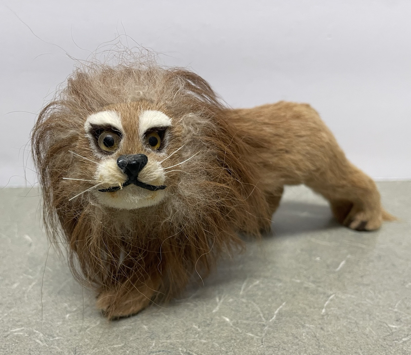 Antique Miniature Taxidermy Lion 3 x 7 Real Fur Hair Glass Eyes Figurine