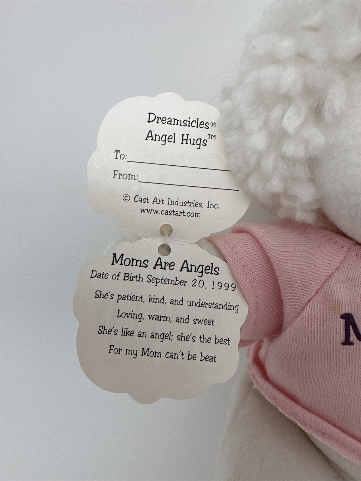 Dreamsicles Angel Hugs “teacher Of The Year” Plush Toys -9 In 1999….A13