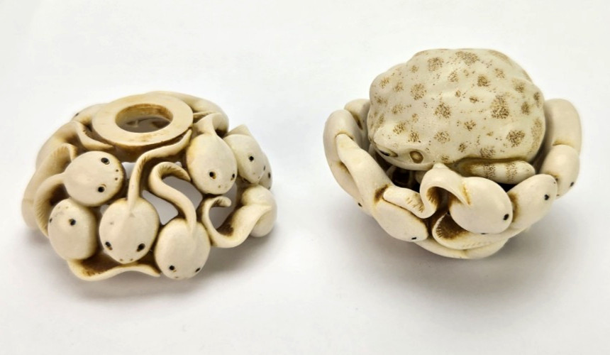 Sticking Around Eden Series Frog Tadpoles Trinket Box Mimas of Warwick 2 in.