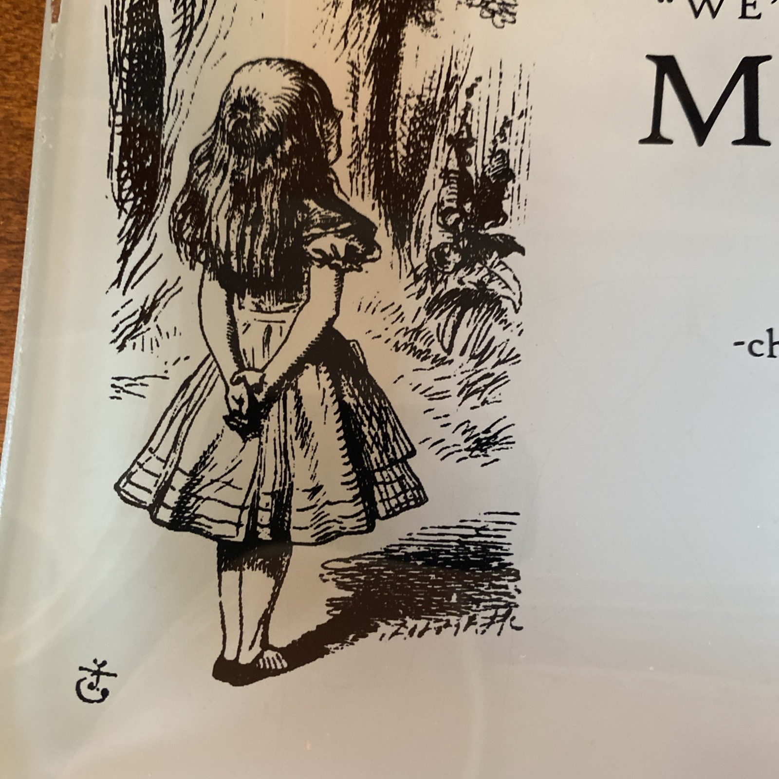 Set of 2 Alice In Wonderland 6 x 9 Glass Catch Alls by Red Envelope