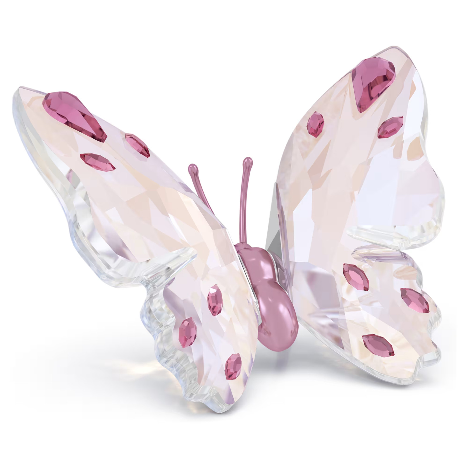 Swarovski Crystal IDYLLIA BUTTERFLY Small Pink Figurine 5691959